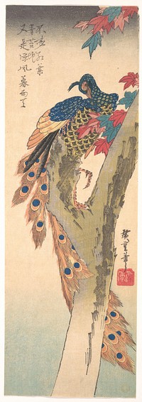 A Peacock Perched on a Maple Tree. Original public domain image from the MET museum.