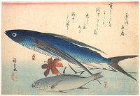 Utagawa Hiroshige (1830) Tobiuo and Ishimochi Fish, from the series Uozukushi (Every Variety of Fish). Original public domain image from the MET museum.