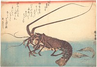 Utagawa Hiroshige (1830) Ise-ebi and Shiba-ebi, from the series Uozukushi (Every Variety of Fish). Original public domain image from the MET museum.