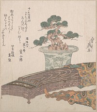 Potted Pine Tree and Koto (Japanese Harp) (19th century) print in high resolution by Keisai Eisen. Original from The MET Museum. 