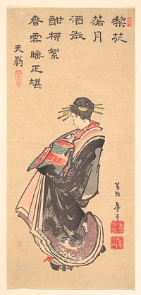 Hokusai's Japanese woman. Original public domain image from the MET museum.