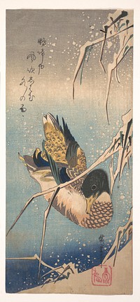 Mallard and Snow-covered Reeds (1843). Original public domain image from the MET museum.