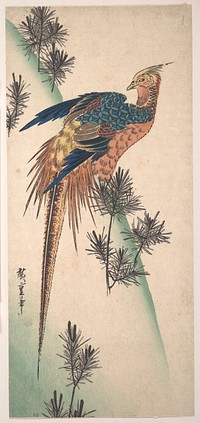 Pheasant and Pine-trees on Snowy Hillside. Original public domain image from the MET museum.