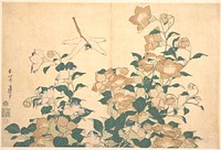 Hokusai's dragonfly and bellflower. Original public domain image from the MET museum.