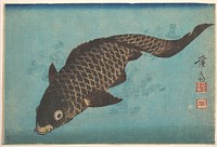 Koi (ca. 1842) print in high resolution by Keisai Eisen. Original from The MET Museum. 