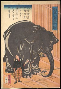 View of the Large Imported Elephant (1863) by Taguchi (Utagawa) Yoshimori.