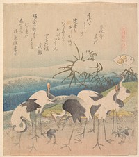 Ashi Clam, from the series "Genroku Kasen Kai-awase". Original public domain image from the MET museum.