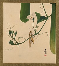 Lacquer Paintings of Various Subjects: Grasshopper on Gourd Vine by Shibata Zeshin.