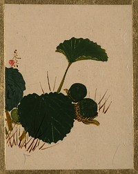 Worm on Green Leaved Plant. Original public domain image from the MET museum.