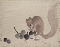 Katsushika hokusai's squirrel.