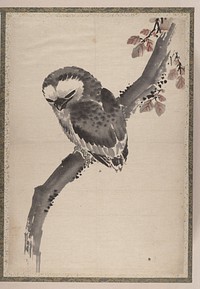 Katsushika Hokusai's owl. Original public domain image from the MET museum.