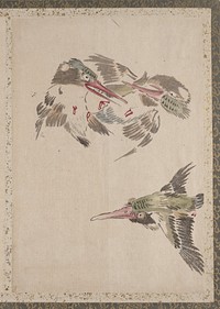 Bird Album of Sketches by Katsushika Hokusai and His Disciples. Original public domain image from the MET museum.