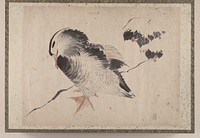 Katsushika Hokusai&rsquo;s Japanese bird, Album of Sketches (1760&ndash;1849) painting. Original public domain image from the MET museum.