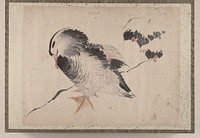 Katsushika Hokusai’s Japanese bird, Album of Sketches (1760–1849) painting. Original public domain image from the MET museum.