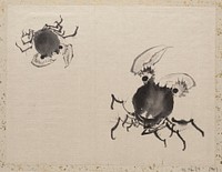 Katsushika Hokusai&rsquo;s Japanese crab, Album of Sketches (1760&ndash;1849) painting. Original public domain image from the MET museum.