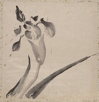 Katsushika Hokusai&rsquo;s flower, Album of Sketches (1760&ndash;1849) painting. Original public domain image from the MET museum.