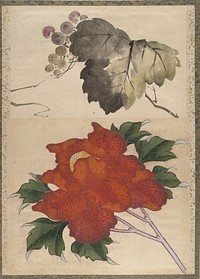 Katsushika Hokusai&rsquo;s flower, Album of Sketches (1760&ndash;1849) painting. Original public domain image from the MET museum.