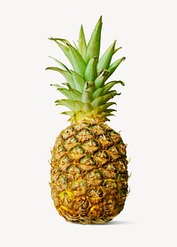 Pineapple fruit collage element, isolated image psd