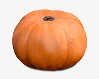 Organic pumpkin, vegetable, healthy food image