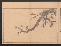 Plum Branch by Hokusai (1760 - 1849). Original public domain image from the MET museum.