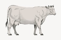 Domestic cow animal illustration vector