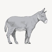 Donkey sketch animal illustration vector