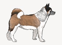 Akita dog animal illustration vector