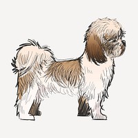 Shih Tzu dog animal illustration vector