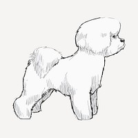 Bichon Frise dog animal illustration vector