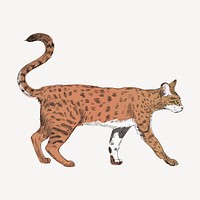 Savannah cat sketch animal illustration psd