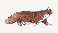 Siberian cat sketch animal illustration psd