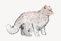 Selkirk Rex Shorthair cat animal illustration vector