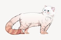 Himalayan cat animal illustration vector