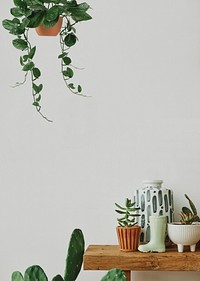 Cactus and plant background, minimal design