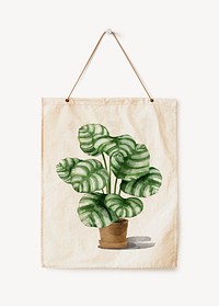 Hanging watercolor calathea orbifolia, home decorate psd