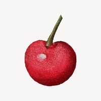 Cherry collage element, fruit illustration