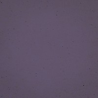 Purple background, paper texture design