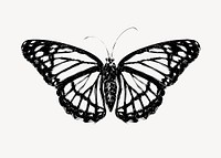 Monarch butterfly animal illustration vector