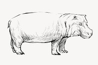 Hippopotamus sketch animal illustration vector