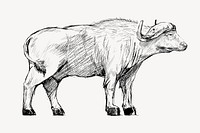 Buffalo sketch animal illustration vector