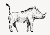 Warthog sketch animal illustration vector