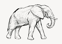 Elephant sketch animal illustration vector