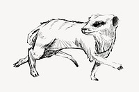 Meerkat walking animal illustration vector