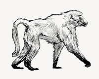 Baboon walking animal illustration vector