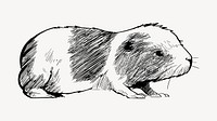 Hamster  sketch animal illustration psd