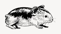 Guinea pig animal illustration vector