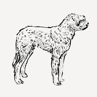 Irish Mastiff dog animal illustration vector