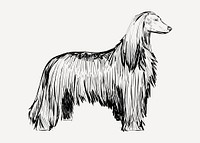 Afghan Hound dog sketch animal illustration psd