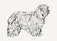 Briard dog animal illustration vector