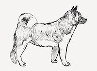 Akita dog animal illustration vector